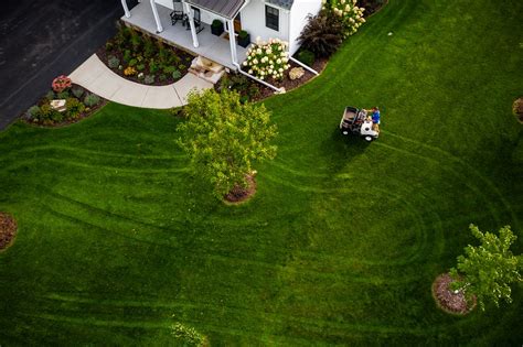 lawn care blaine mn  8 Questions to Ask Before Hiring a Lawn Care Company in Minneapolis